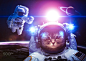 An astronaut cat floats above Earth. Stars provide the backgroun by Vadim Sadovski on 500px