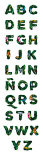 Exótica - Craft DisplayTypeface : ESP  Exótica es una tipografía display llegada directamente desde la selva amazónica, el bosque tropical más extenso del mundo, que se desarrolla alrededor del río Amazonas y de su cuenca fluvial. Allí las altas temperatu