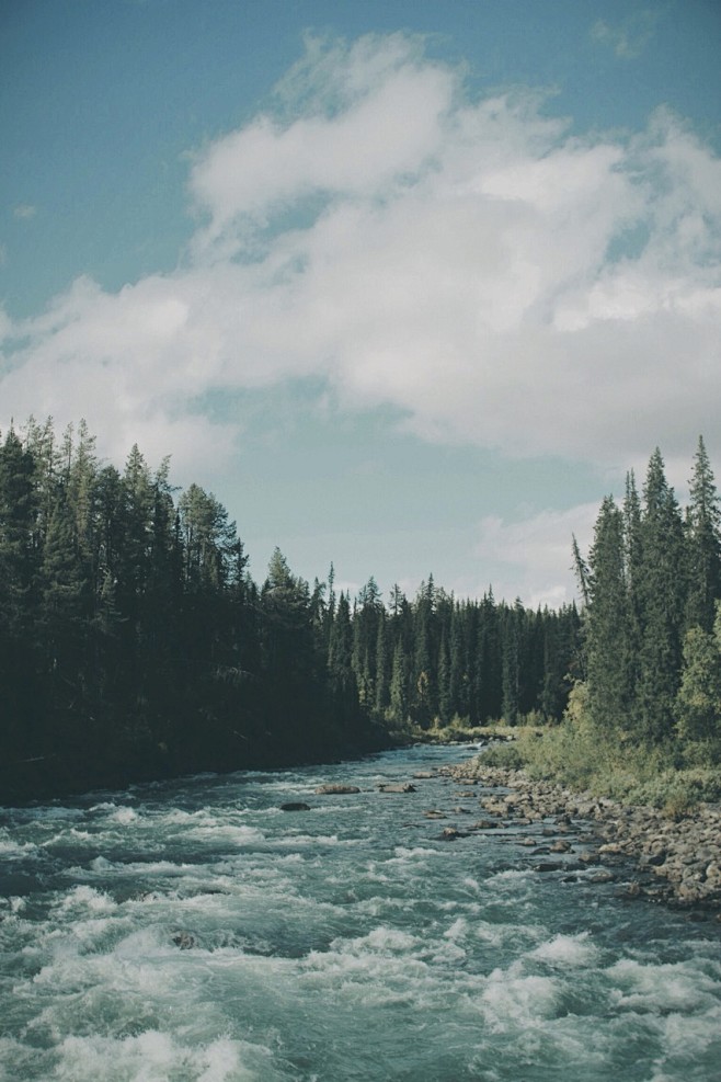 Sarek National Park,...