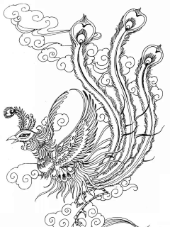 CHENWENYU采集到插画