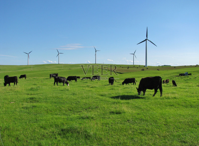 b2dbbf11f5b56d8482c2c6a25558b08d50fdd11021a83-sEiPCm