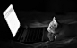 General 1920x1200 cat laptop humor monochrome bed animals dark