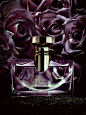 Angela De Bona - Chris  Turner - Fragrance : Angela De Bona - Chris  Turner - Fragrance