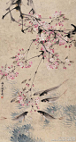 #写意画#【 张书旂 《花鸟图》 】张书旂（1900-1957）的花鸟画，继承了中国画以形写神的传统创作方法。张书旂觉得师古人、师前人莫如师自然更生动。他每于清晨薄暮，蹲身秘处，窥视鸟儿之神态，故所作花鸟画，纯从写生中得来，动作的自然，色彩的正确，乃在写生之外，另有观察的工夫和心中意会的结果。