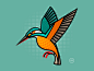 dribble-kingfisher-800x600.jpg