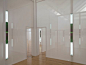 a f a s i a: Robert Irwin