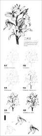 本案例摘自爱林文化主编、人民邮电出版社出版的《黑白花意2——88朵超纯美的花之绘》http://product.dangdang.com/23706389.html