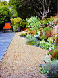 Drought tolerant garden