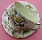 Vintage Aynsley China Teacup Wild White Dogwood by aquamarinedream, $50.00