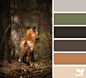 { creature color } image via: @julie_audet