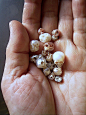 珍珠微雕骷髅饰品，来自日本艺术家 Shinji Nakaba （s-nakaba.com）。（相关推荐：O尖峰视界）