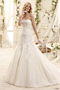 Colet 2015 Wedding Dresses(七)