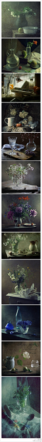 Masha Sapego摄影作品《静物与花》用一些野花与玻璃或陶瓷容器相结合，再加上时令的新鲜水果，让整个画面充满了真实又幻象的感觉，勾画出油画般细腻的质感。