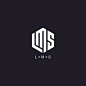 LOGO-LMS-多字母构成-六边形logo