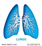Lungs origami. Blue Paper cut Human Lungs anatomy with bronchial tree. Applique Vector design illustration. 