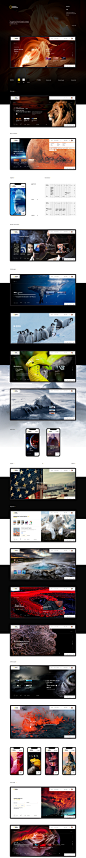 National Geographic - redesign concept on Behance