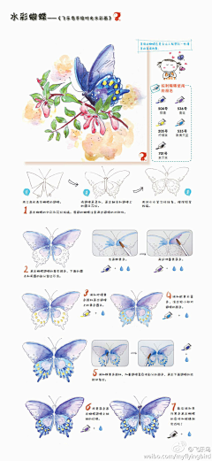 徐栩君采集到手绘