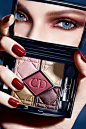 Dior-Fall-2014-5-Couleurs-Eyeshadow-Palette