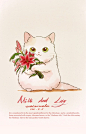 采自Lynn的花瓣画板“缓猫们特”。
