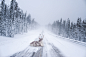 Reindeer heating up by Konsta Punkka on 500px