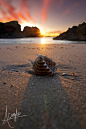 Seal rocks sunrise  : Sunrise at seal rocks 