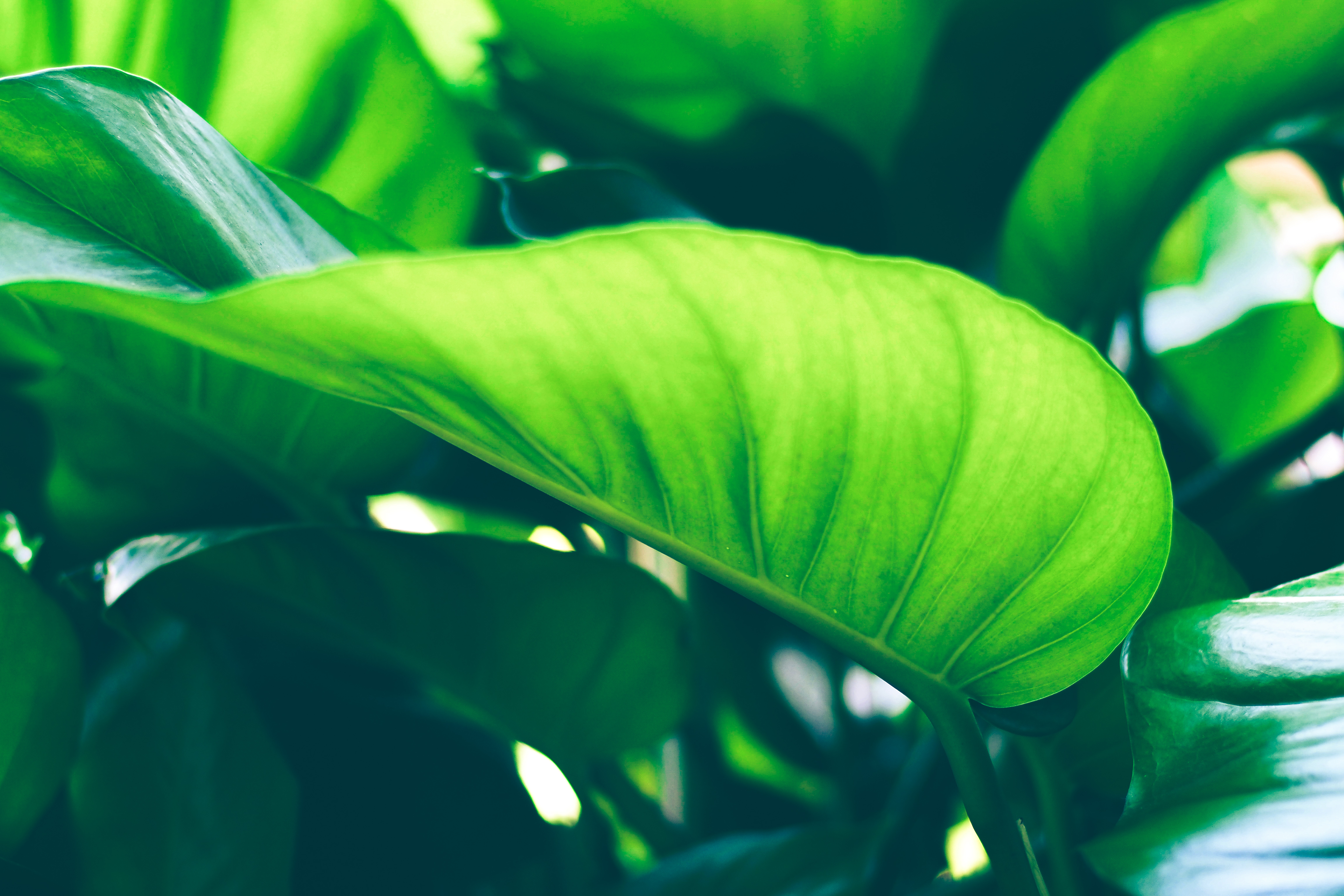 b4145336dda303fd119e1aa7b319a13d73e26eec301d9c-K39nJv