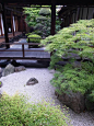 关于选择什么样的植物来表达日式风格，其实可以从日式庭院中寻找参考。日本庭院设计是日式美学的精髓，其所传达的禅意与侘寂，正是日本人用身体力行的生活方式，通过长期的磨砺与探索，获得的一种洗练而气场强大的美学风格。