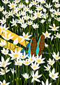 Paco_Yao 插画 原创 春天春季 雨停了，我在花丛中躺着，望天，想你。