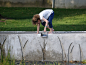 Adams Elementary Rain Garden