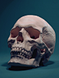 Skull, adam skutt : Skull by adam skutt on ArtStation.