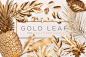 Gold Painted Leaves Collection : Gold Painted Leaves are a set of Hi Res 240 DPI PNG files of various leaves and tropical plants for use in mocking up your design projects.  Download today at <a class="text-meta meta-link" rel="nofollow&