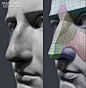 anatomy-for-sculptors
用3D模型来理解脸部结构。 ​​​​