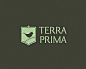 TERRA PRIMA #采集大赛#