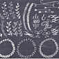 复古手绘黑白简约线条花环花朵枝条 EPS矢量免抠PNG设计素材AI035