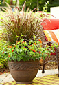 30 Beautiful Container Gardens | Midwest Living: 