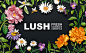 Lush Self Preserving Campaign by Owen Gildersleeve : A collaboration with Lush for their Self Preserving campaign.
