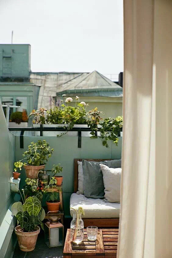 我在自家的阳台里四季如春！