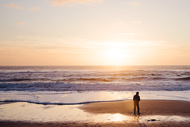 MONTEREY BAY AREA : ...