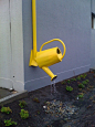 This also works if watering pail is sitting on ground, with downspout emptying into top of it - saves a bit of rainwater for you to use in your potted plants...