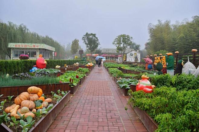 【旅行中的摄影师】花谷奇缘，听花开的声音...