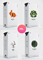 Branding and Packaging Design for Mealbox the Indian Kick-Starter / World Packaging Design Society