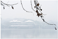 带着相机散步采集到最美还是雪西湖