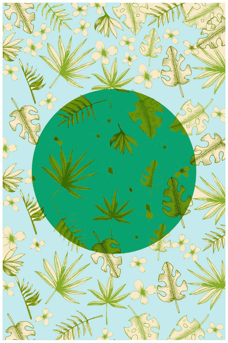 b506e7bdce96155805bf2533af59fdfdb3638d30100f78-71nbVq