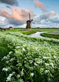 All Dutch by Daniel_Bosma