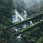 Nature Through the Lens of Dylan Furst