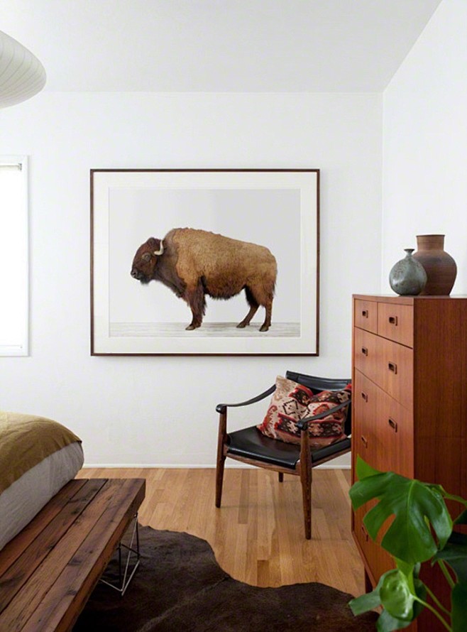 american buffalo by ...