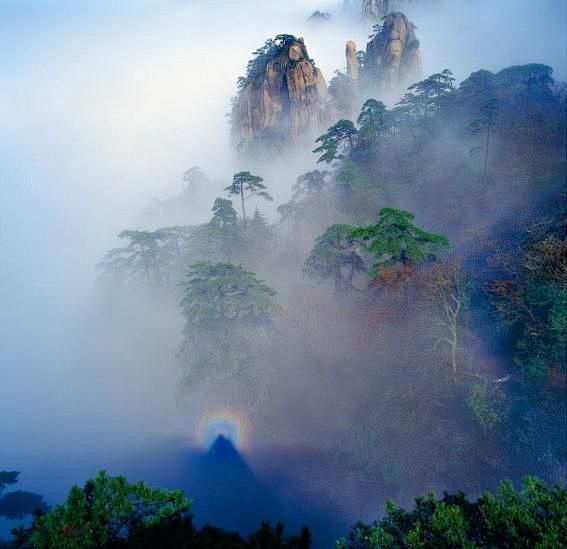 《2010中国黄山（国际）风光摄影大展获...