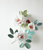 paper flowers: 
