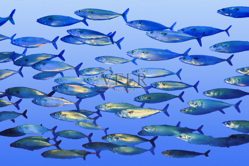 b579d327b47dff6b6a340906ce80523c112d4e7a1e4bc-EgEtXA