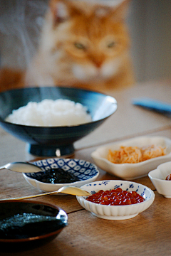 Annyi采集到食味生活